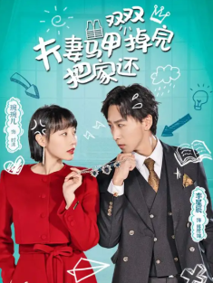 短剧《夫妻马甲双双掉完把家还》(93集) 网盘在线观看