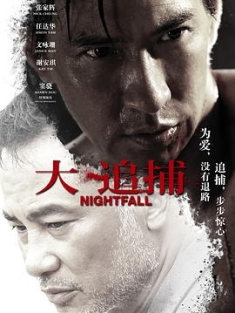 大追捕 (2012) / Night Fall / Nightfall / 4K电影下载 / Nightfall.2012.2160p.WEB-DL.H265.AAC.2Audio