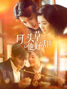 《回头草他好甜》短剧高清全集免费在线观看播放完整版