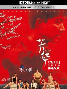 芳华 (2017) 歌声离我远去/Youth/中国大陆/豆瓣: 7.7