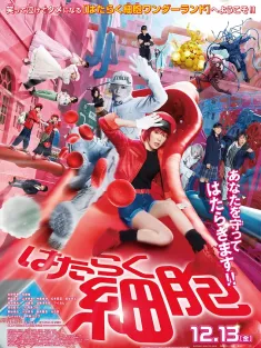 工作细胞 真人版 はたらく細胞 2024 はたらく細胞 実写版/Cells at Work