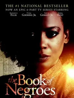 黑人之书 The Book of Negroes 2015 [美国]
