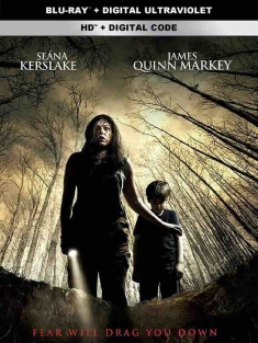 地面之洞 The Hole in the Ground (2019) 婴魂不散/爱尔兰/豆瓣: 5.4