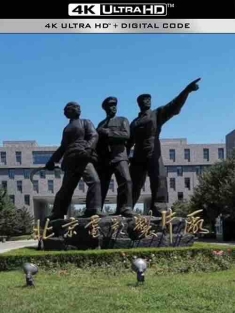 北京电影制片厂194部经典电影合辑 / 高清修复版