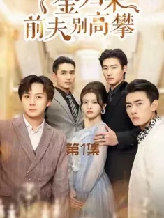 短剧《千金归来前夫别高攀》(88集) 网盘在线观看