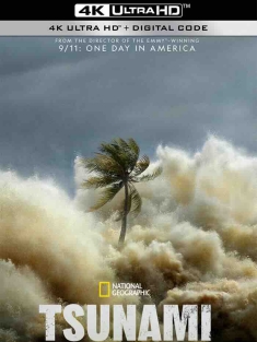 海啸：与时间赛跑 Tsunami: Race Against Time (2024) Tsunami: Wettlauf gegen die Zeit/史上最大級の自然災害！インド洋大津波 [美国]豆瓣: