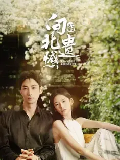 向北的遗憾 (2024) /中国大陆/豆瓣: