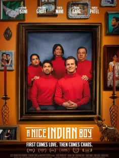 印度好男孩 A Nice Indian Boy 2024 一个不错的印度男孩
