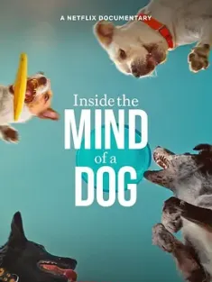 汪星人的奇思妙想 Inside the Mind of a Dog (2024) /美国/豆瓣: 7.3