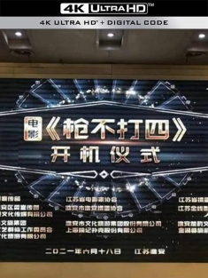 枪不打四 (2024)