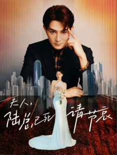 短剧《夫人陆总已死请节哀》(95集) 网盘在线观看