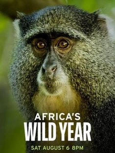 狂野非洲 第一季 Africa's wild year Season 1 (2021) / Africa's Wild Year(新加坡) / L'Afrique sauvage en quatre saisons(法) / Die Wildnis Afrikas: Vier Jahreszeiten(德) / 4K纪录片下载 / Africas.Wild.Year.S01.2021.2160p.UHDTV.H265.AAC