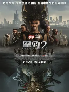 黑豹2 IMAX满屏版 Black Panther: Wakanda Forever 2022