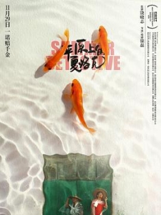 平原上的夏洛克 (2019) / Rebuilding / Summer Detective / 4K电影下载 / 夸克网盘分享 / Summer.Detective.2019.2160p.HQ.WEB-DL.H265.60fps.AAC