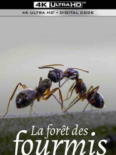 蚂蚁的智慧 La forêt des fourmis (2023) Im Regenwald der tropischen Ameisen/Jungle of the Ants/法国/豆瓣: