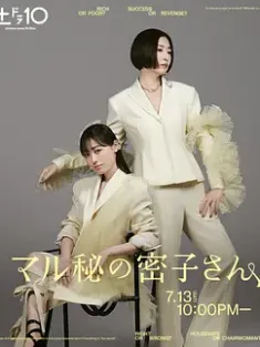 绝密的密子小姐 マル秘の密子さん (2024) /日本/豆瓣: