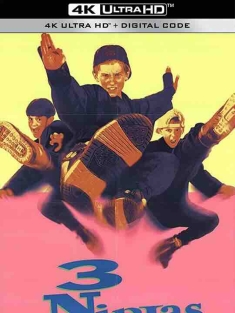 忍者小英雄 3 Ninjas (1992) / 小鬼难缠又当家 / 忍者小武士 / 4K电影下载 / 3.Ninjas.1992.2160p.Ai-Upscaled.10Bit.H265-DirtyHippie.rife4.14v2-60fps