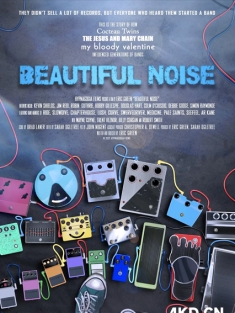 美丽噪音 Beautiful Noise 2014  [美国] 豆瓣:8.8