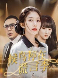 《候鸟停在谎言季》短剧高清全集免费在线观看播放完整版