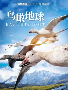 鸟瞰地球 Earthflight 2011 飞越地球/万里傲翔