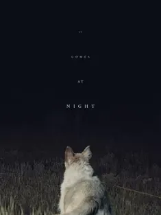 黑夜造访 It.Comes.at.Night.2017.2160p.WEB-DL.x265.10bit.HDR.DTS-HD.MA.5.1...