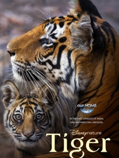 老虎 Tiger (2024)