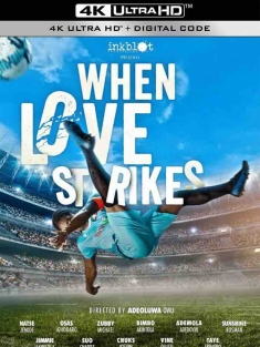 当爱情来袭 When Love Strikes (2024)  [尼日利亚]豆瓣: