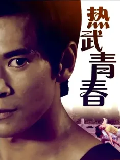 热武青春 2014 Kung Fu Passion