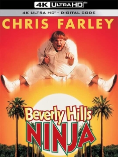 比佛利武士 Beverly Hills Ninja (1997) 比佛利山威龙(台)