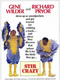 油腔滑调 Stir Crazy 1980 笨鸟出笼/阿叔有难