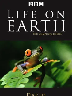 生命的进化 Life on Earth 1979 地球上的生命