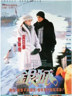 银狐 1993