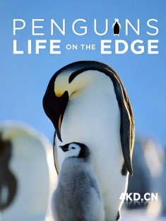 《企鹅：极地追踪 Penguins: Life on the Edge 2020》