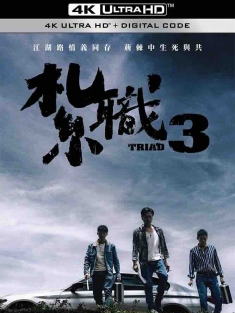 扎职3 紮職3 (2024) 扎职3：义薄云天/Triad 3/The Unwavering Brotherhood/中国香港/豆瓣: