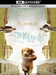 一条狗的使命 A Dog's Purpose (2017) / 为了与你相遇(台) / 再见亦是狗朋友(港) / 4K电影下载 / A.Dogs.Purpose.2017.2160p.HQ.WEB-DL.H265.60fps.DDP5.1.2Audio