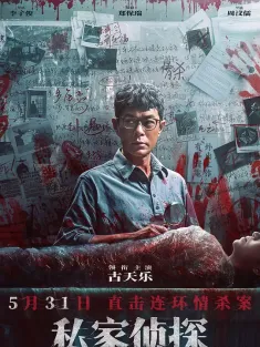 私家侦探 私家偵探 2025 尾随/Behind The Shadows