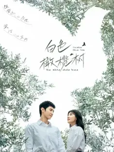白色橄榄树 2025  [中国大陆] 豆瓣:
