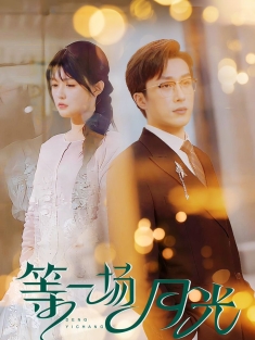 《等一场月光》短剧高清全集免费在线观看播放完整版