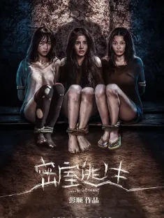 密室逃生 2025 叫天不应/The Getaway