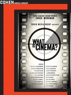 《什么是电影？ What Is Cinema? 2013》Qu'est ce que le cinéma?