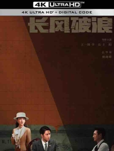 追风者 (2024) / 长风破浪 / 金色征途 / 光明之路 / 4K电视剧下载
