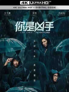 你是凶手 (2019) / 迷局英雄 / The Guilty Ones / The Convicted / 4K电影下载 / The.Guilty.Ones.2019.2160p.WEB-DL.H265.DV.AAC