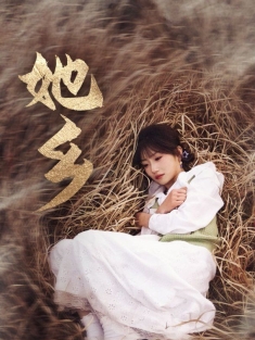 《她乡》短剧高清全集免费在线观看播放完整版