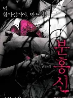 粉红色高跟鞋 분홍신 (2005) 鬼紅鞋/红鞋咒/The Red Shoes/韩国/豆瓣: 6.2