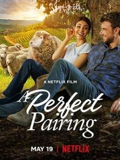 完美绝配 A.Perfect.Pairing.2022.2160p.NF.WEB-DL.DDPA5.1.HDR.DV.HEVC-WiNE