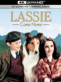 灵犬莱西 Lassie Come Home (1943) / 4K电影下载 / Lassie.Come.Home.1943.2160p.WEB-DL.H265.AAC