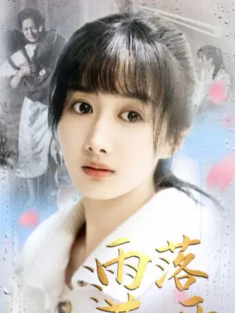 短剧《雨落花正开》(62集) 网盘在线观看