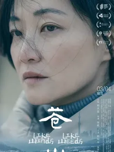 苍山 2023 Like Winds, Like Weeds/Life in a Loop