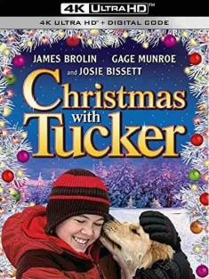 与塔克的圣诞节 Christmas with Tucker (2013) / 与塔克共度的圣诞节 / 4K电影下载 / Christmas.with.Tucker.2013.2160p.WEB-DL.H265.AAC