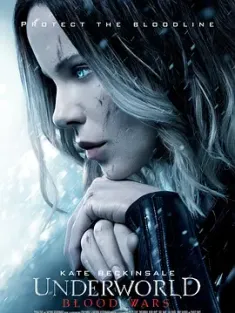 黑夜传说5：血战 Underworld.Blood.Wars.2016.2160p.BluRay.HEVC.TrueHD.7....